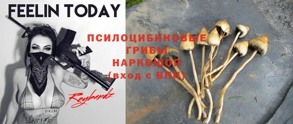 спайс Алексин